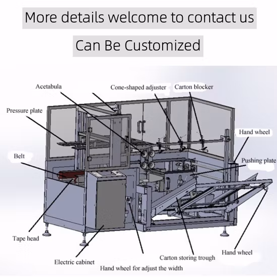 Macchina per la formazione di cartoni Leadworld Macchina per la formazione di cartoni completamente automatica personalizzata per casse di cartone