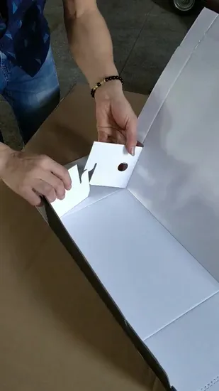 Dgm Box Cartella Gluer 3 punti cartone ondulato Pre