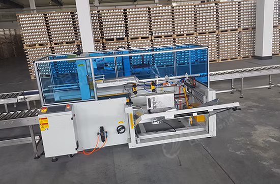 Macchina automatica per la costruzione di una piccola scatola di cartone/erettore di cartone automatico